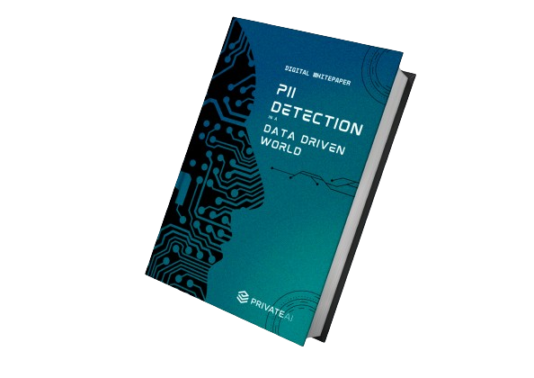 private ai pii detection in a data driven world whitepaper